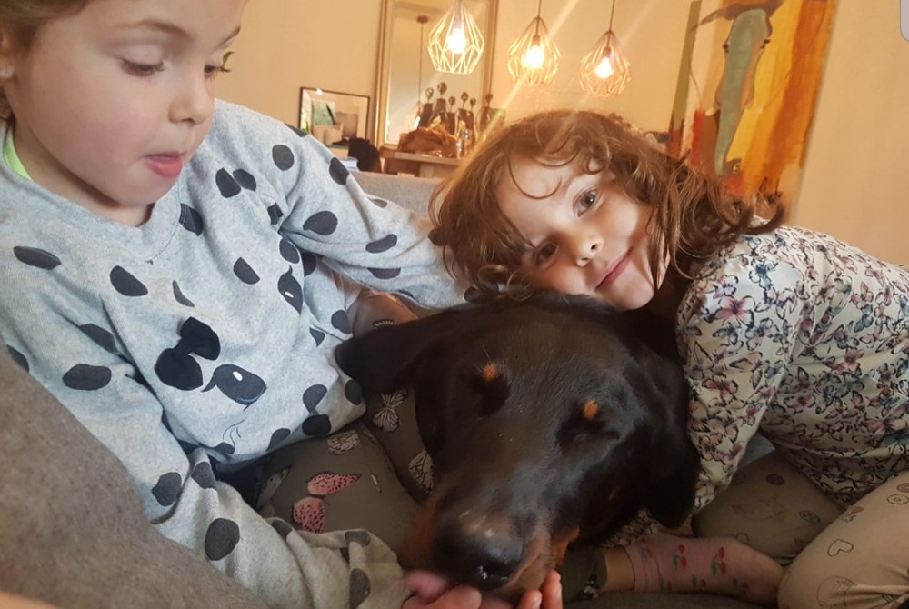 Beauceron, Familienhund, Hund und Kind
